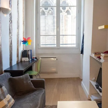 Beautiful Apartment Close To Notre Dame *